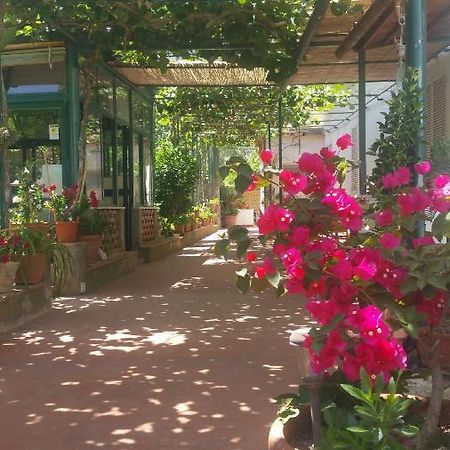 Villa Dei Fiori B&B Капри Экстерьер фото