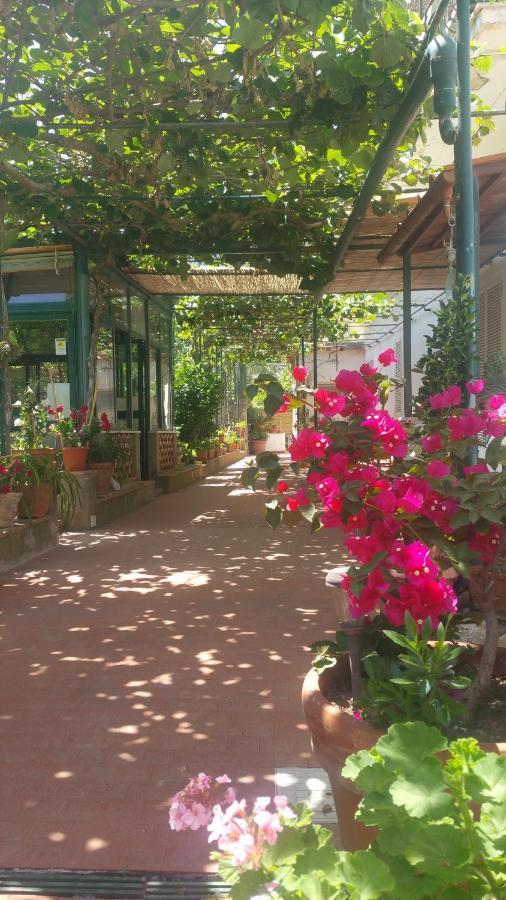 Villa Dei Fiori B&B Капри Экстерьер фото
