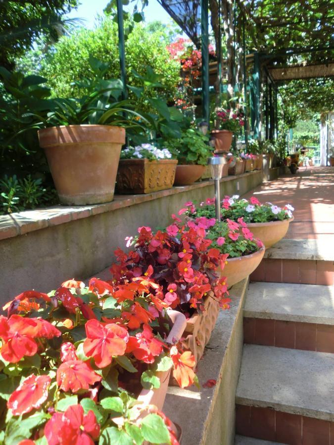 Villa Dei Fiori B&B Капри Экстерьер фото