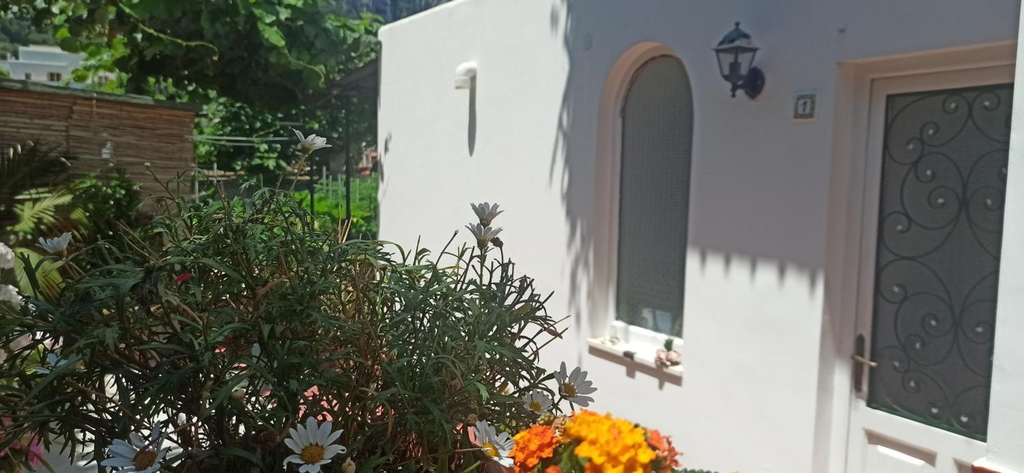 Villa Dei Fiori B&B Капри Экстерьер фото