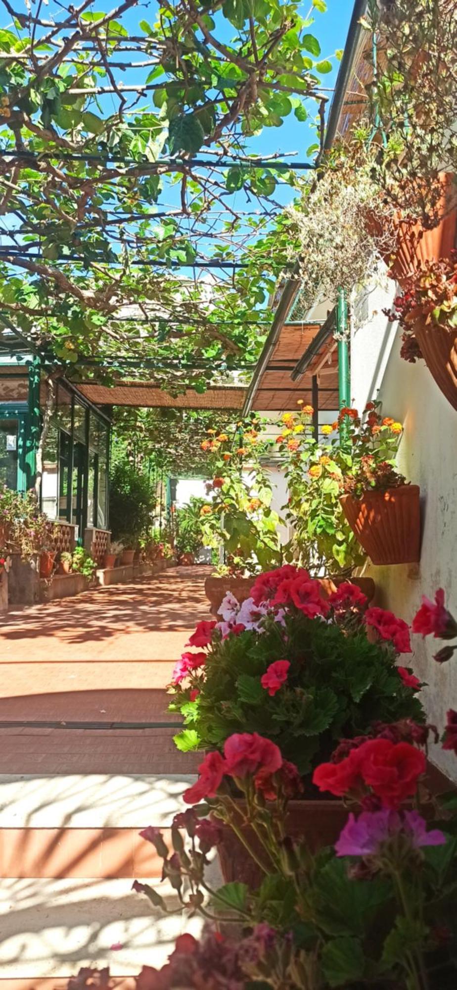 Villa Dei Fiori B&B Капри Экстерьер фото